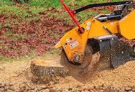 Best Weed Control  in Clarkdale, AZ