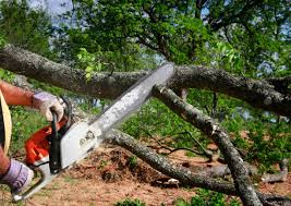 Soil Testing and Treatment in Clarkdale, AZ